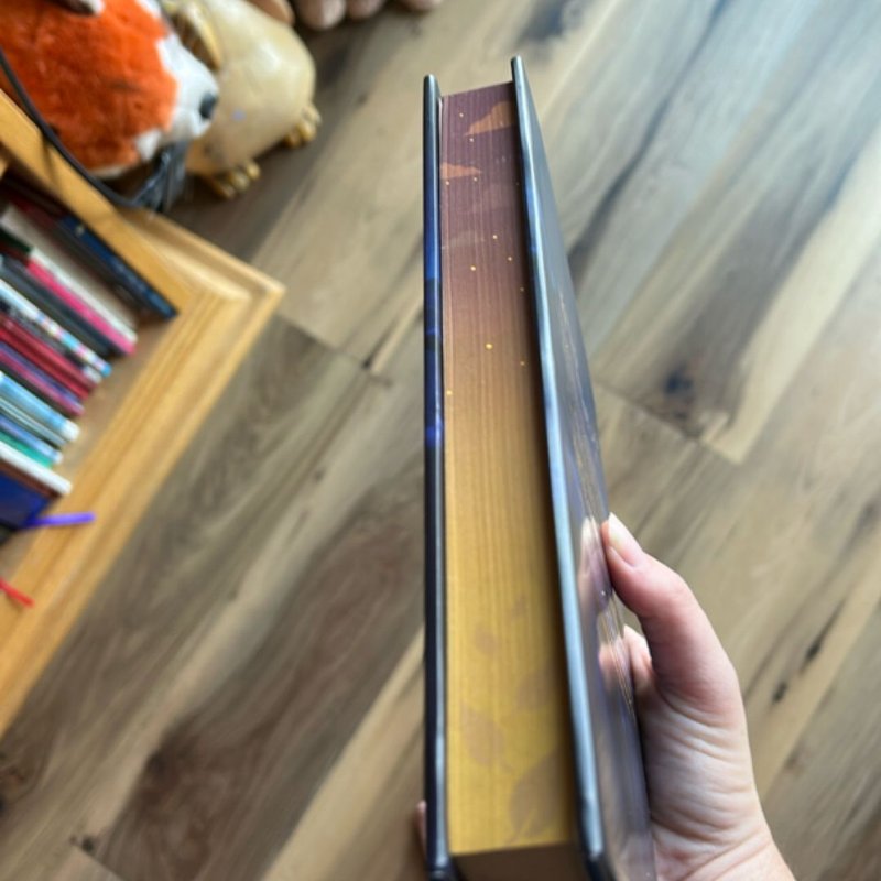 Fragments of a Fallen Star