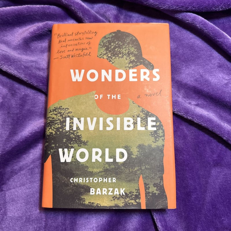 Wonders of the Invisible World