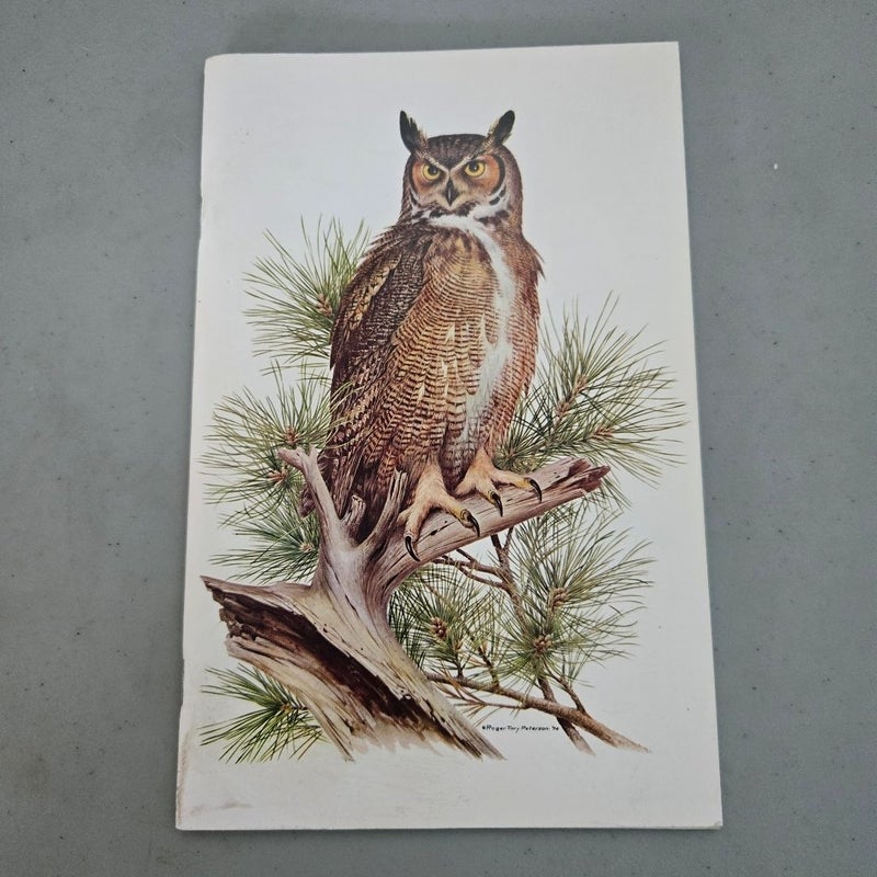 Lot (3) Leigh Yawkey Woodson Museum Bird Art Catalogs 1978 1980 1982