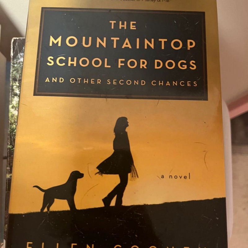 The mountaintop school for dogs and other second chances