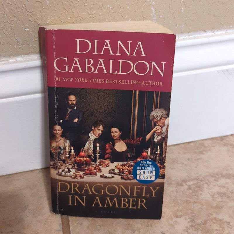 Dragonfly in Amber, TV Tie-In