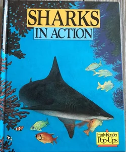 Sharks in Action