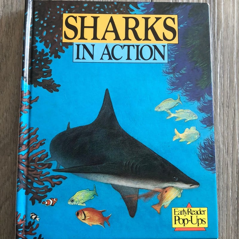 Sharks in Action