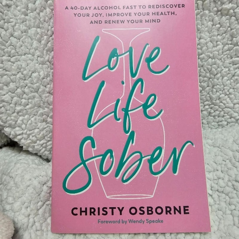 Love Life Sober