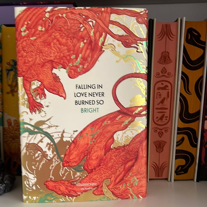 The Phoenix Keeper 