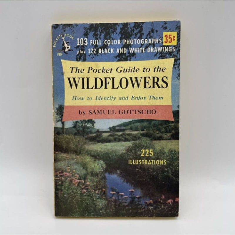 The Field Guide to Wildflowers 