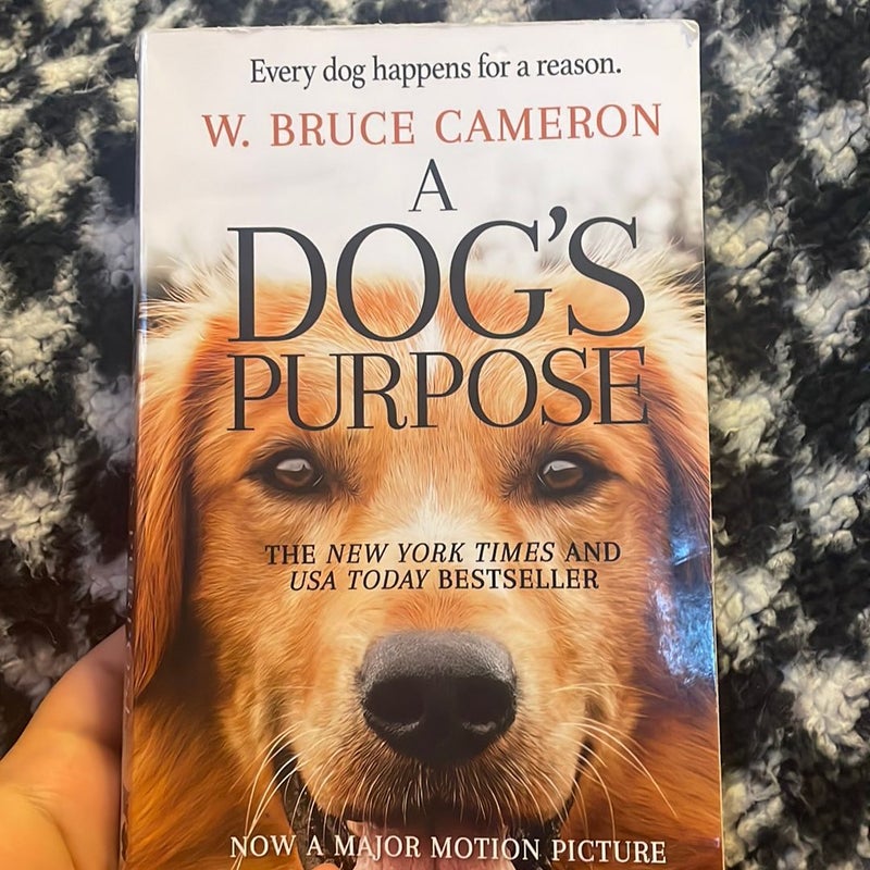 a dogs purpose 