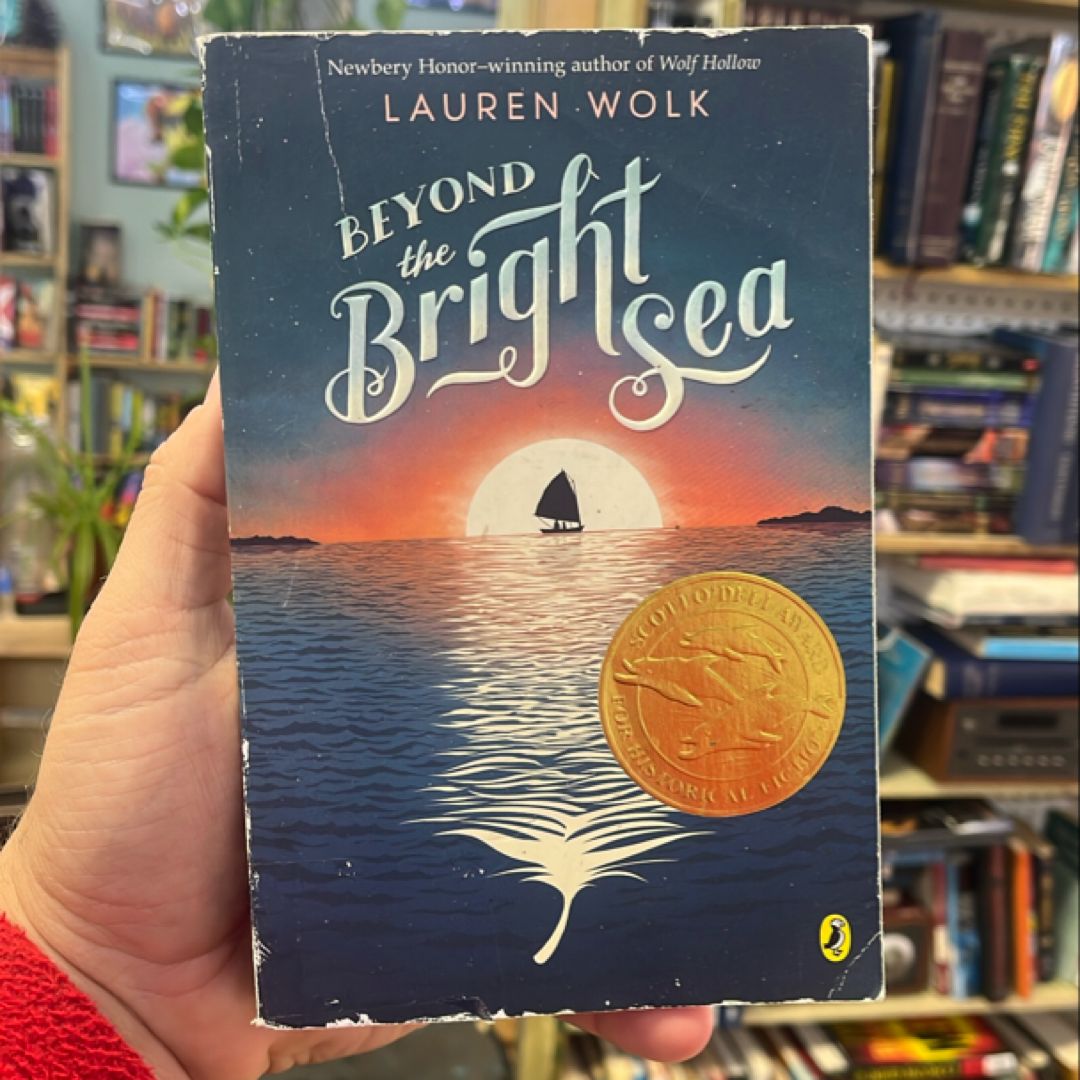 Beyond the Bright Sea