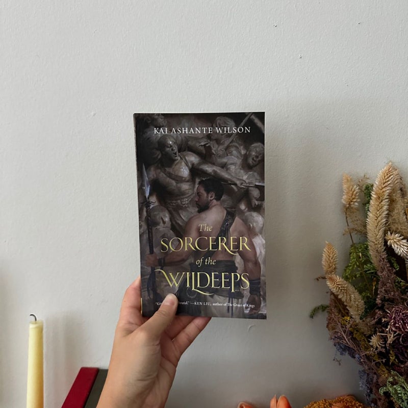 The Sorcerer of The Wildeeps