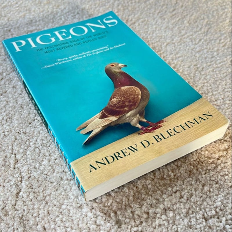 Pigeons