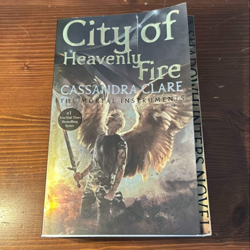 City of Heavenly Fire