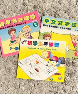 Chinese Copy Book Bundle 3