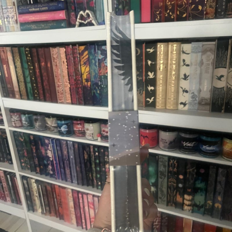 Wings So Wicked (Bookish Box)