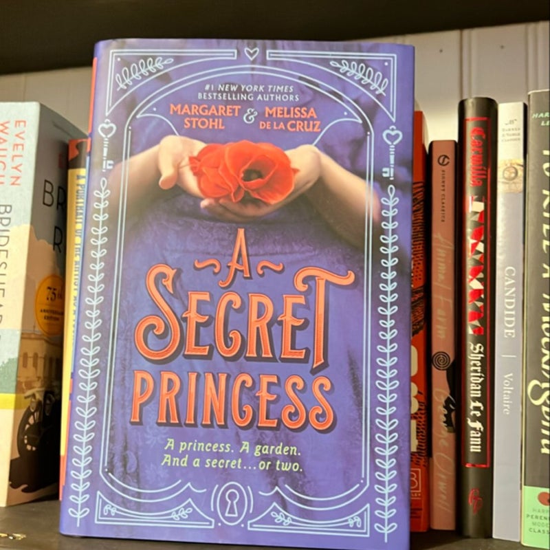 A Secret Princess