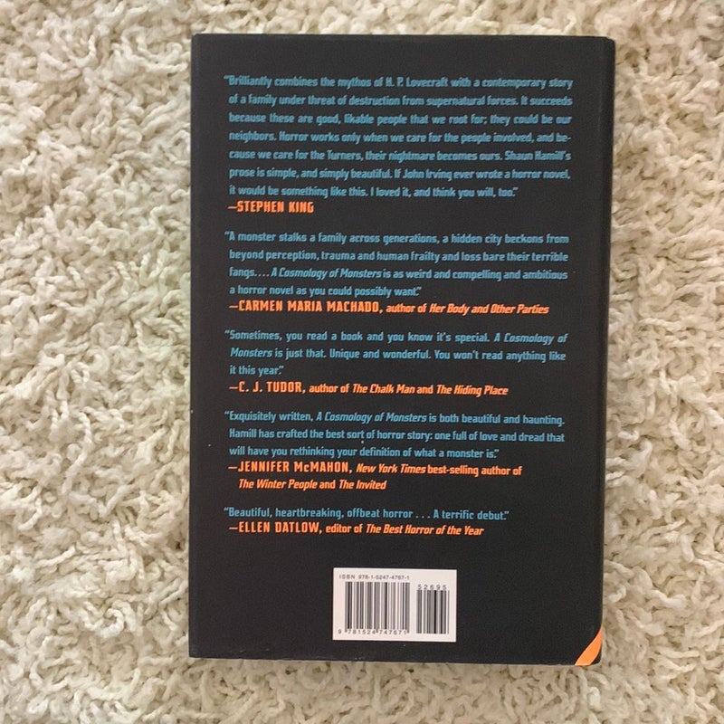 A Cosmology of Monsters