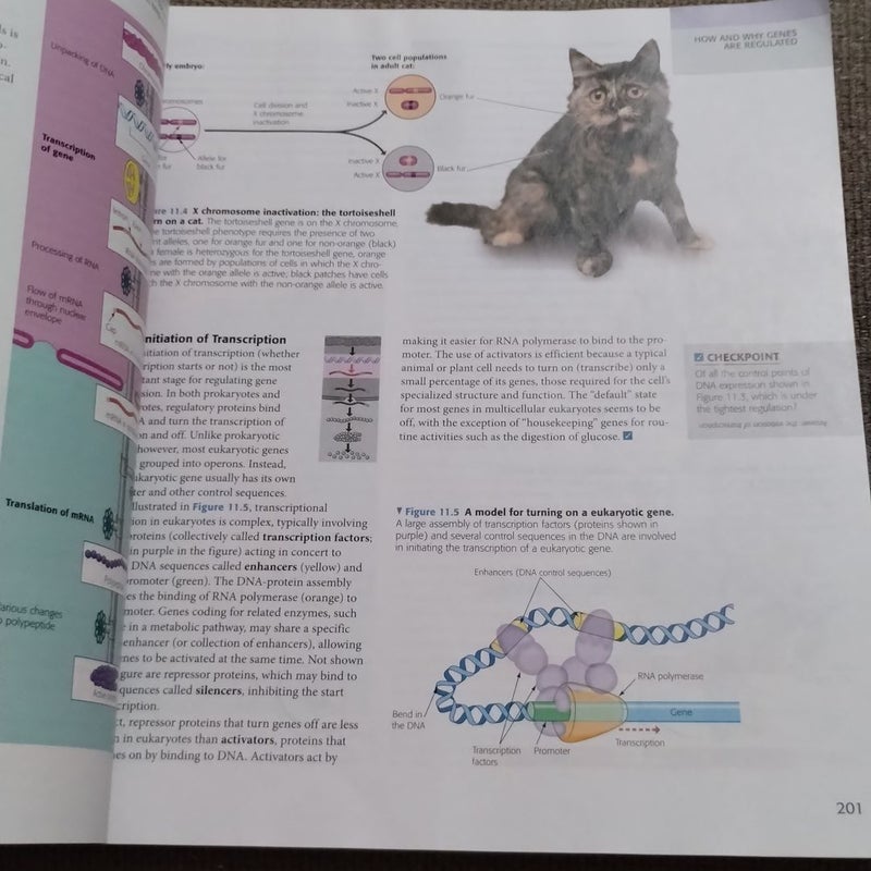 Campbell Essential Biology with Physiology
