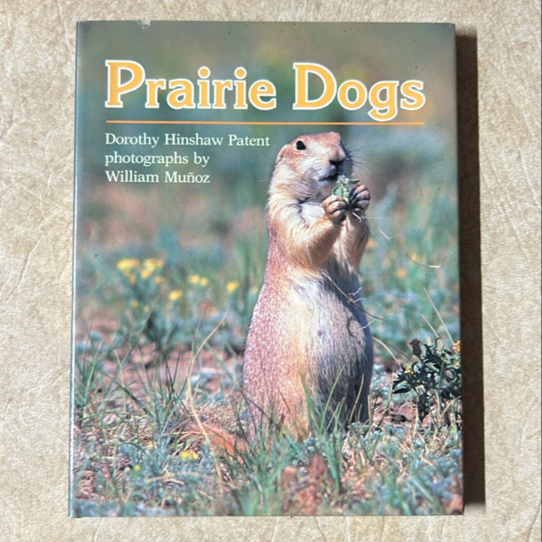 Prairie Dogs