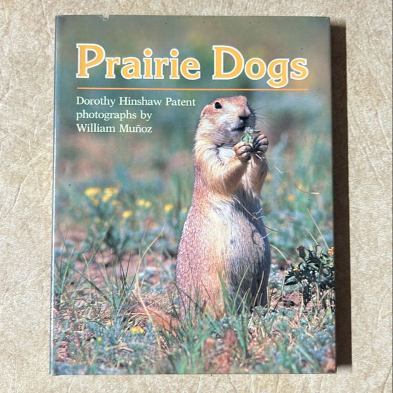 Prairie Dogs