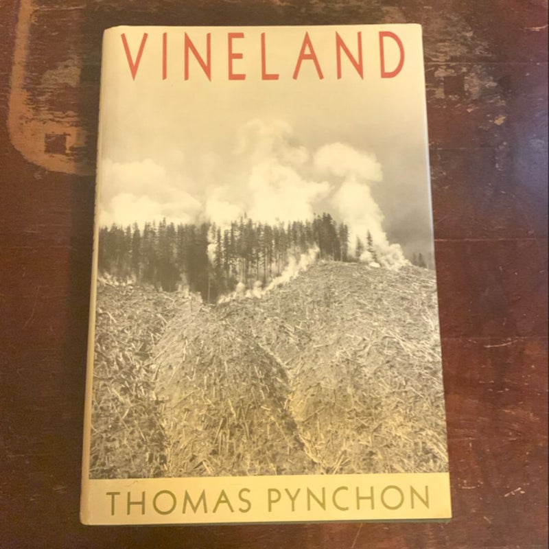 VINELAND- 1st/1st Hardcover!