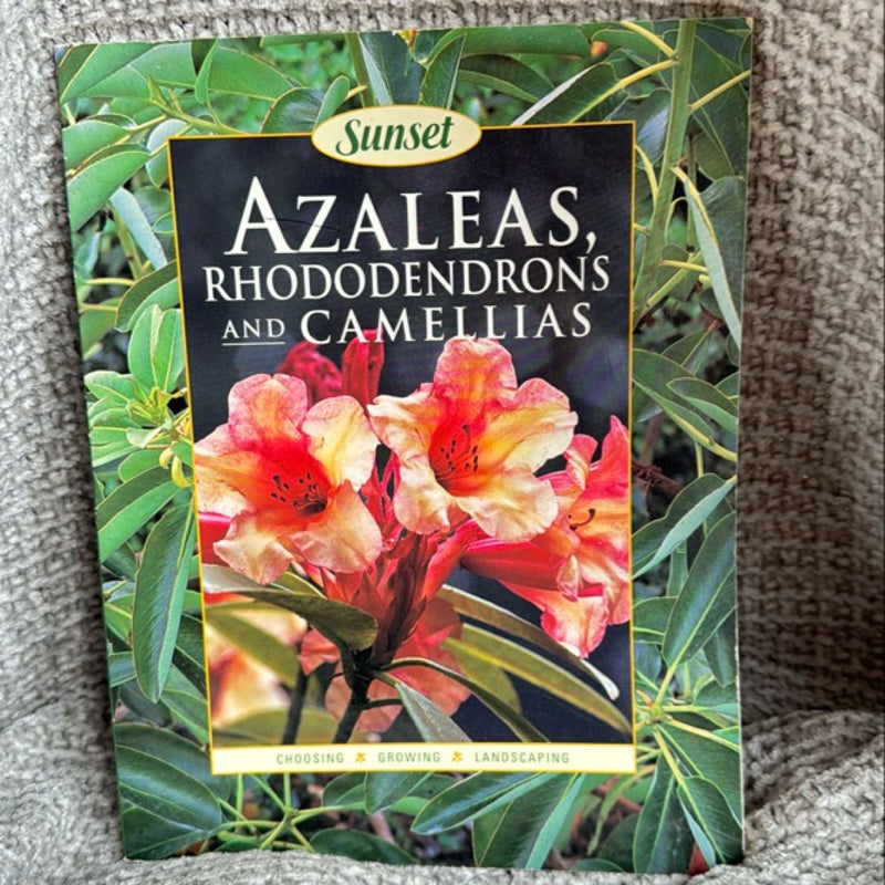 Azaleas, Rhododendrons and Camellias