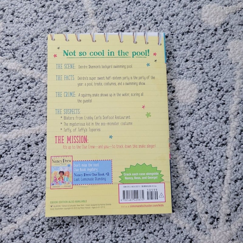 Nancy Drew Clue Book Pool Party Puzzler