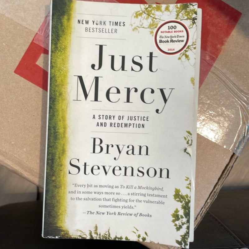Just Mercy