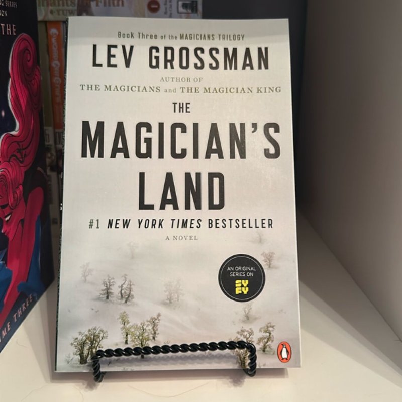 The Magician's Land