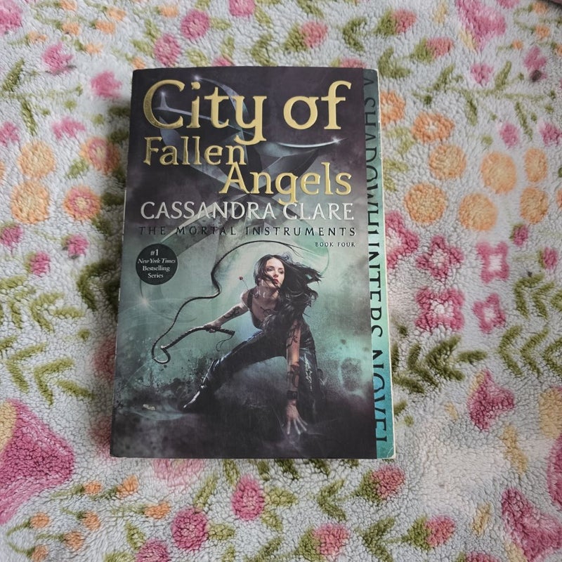 City of Fallen Angels