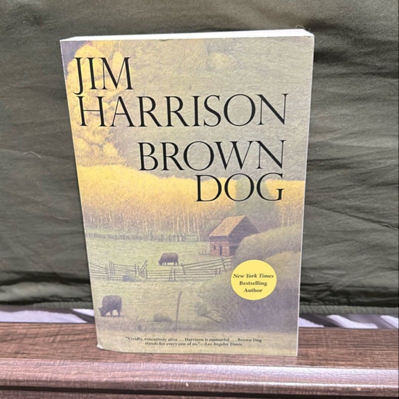 Brown Dog