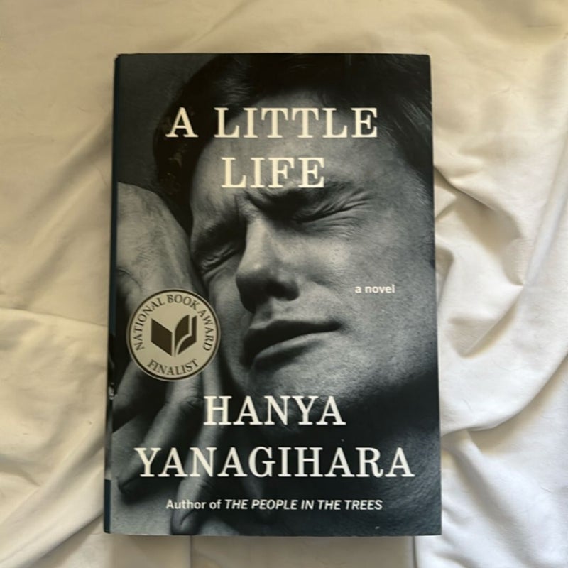 A Little Life