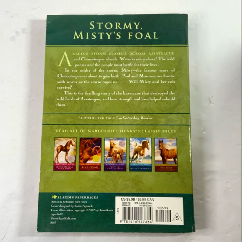 Stormy, Misty's Foal