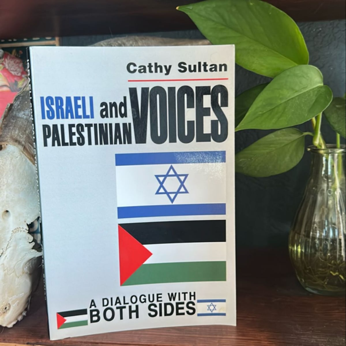Israeli and Palestinian Voices by Cathy Sultan