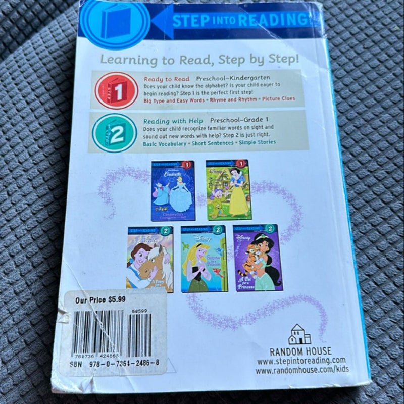 Princess Story Collection (Disney Princess)