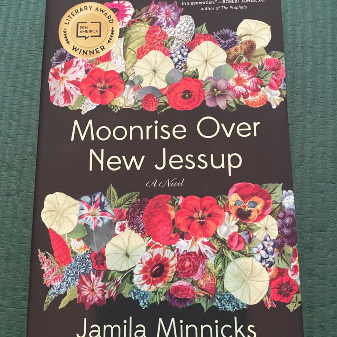 Moonrise over New Jessup