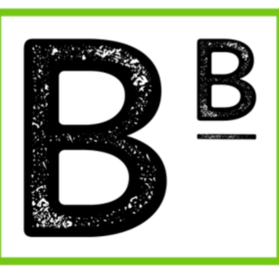 Bruno's Books