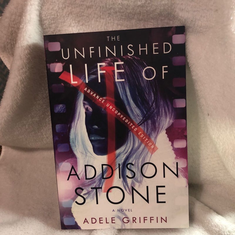 The Unfinished Life of Addison Stone