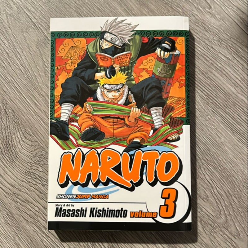 Naruto, Vol. 3