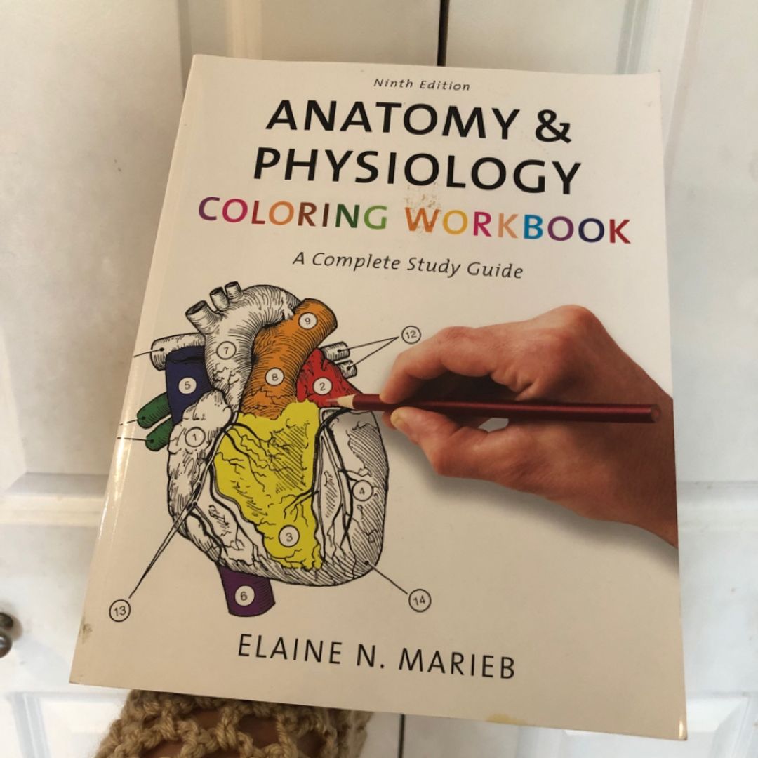 Marieb,　Physiology　Books　Paperback　Elaine　Coloring　Workbook　by　Pango　Anatomy　and