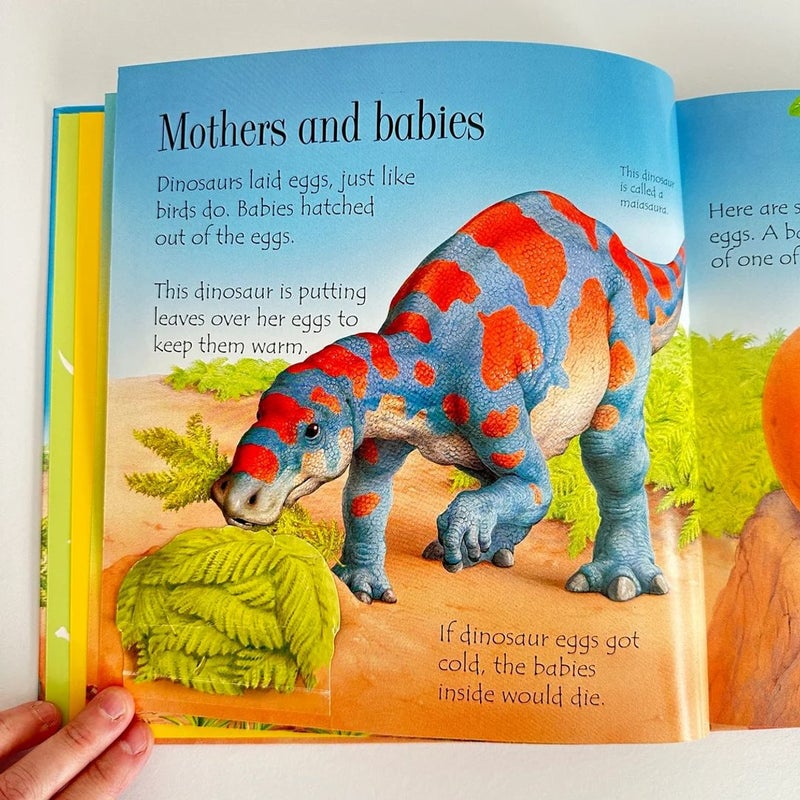 Usborne, Lift the Flap Dinosaurs