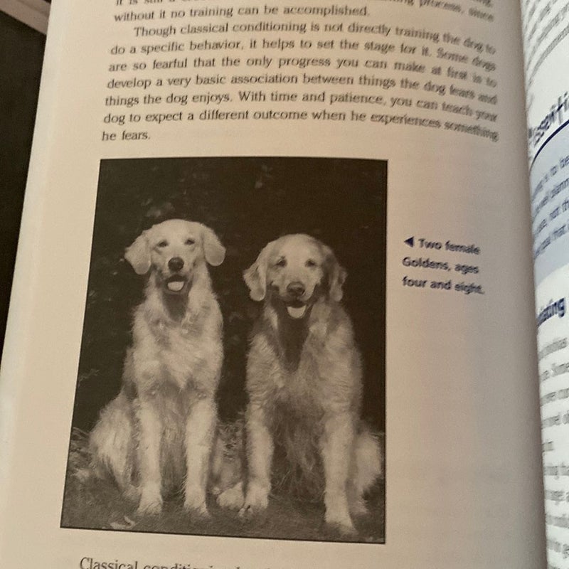 The Everything Golden Retriever Book 