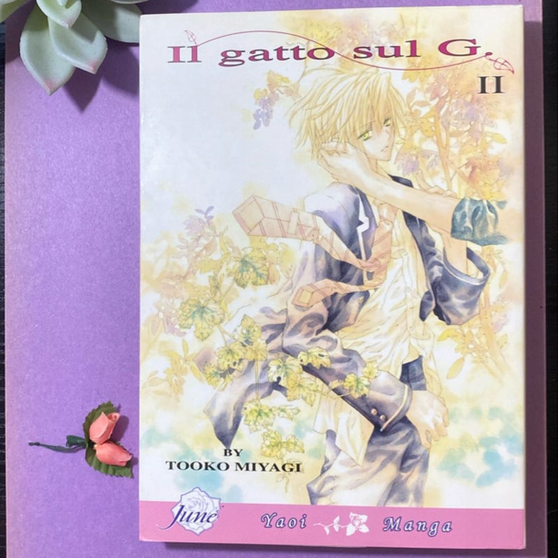 Il Gatto Sul G Volume 2