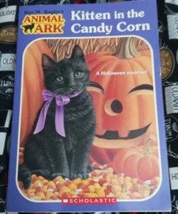 Kitten in the Candycorn