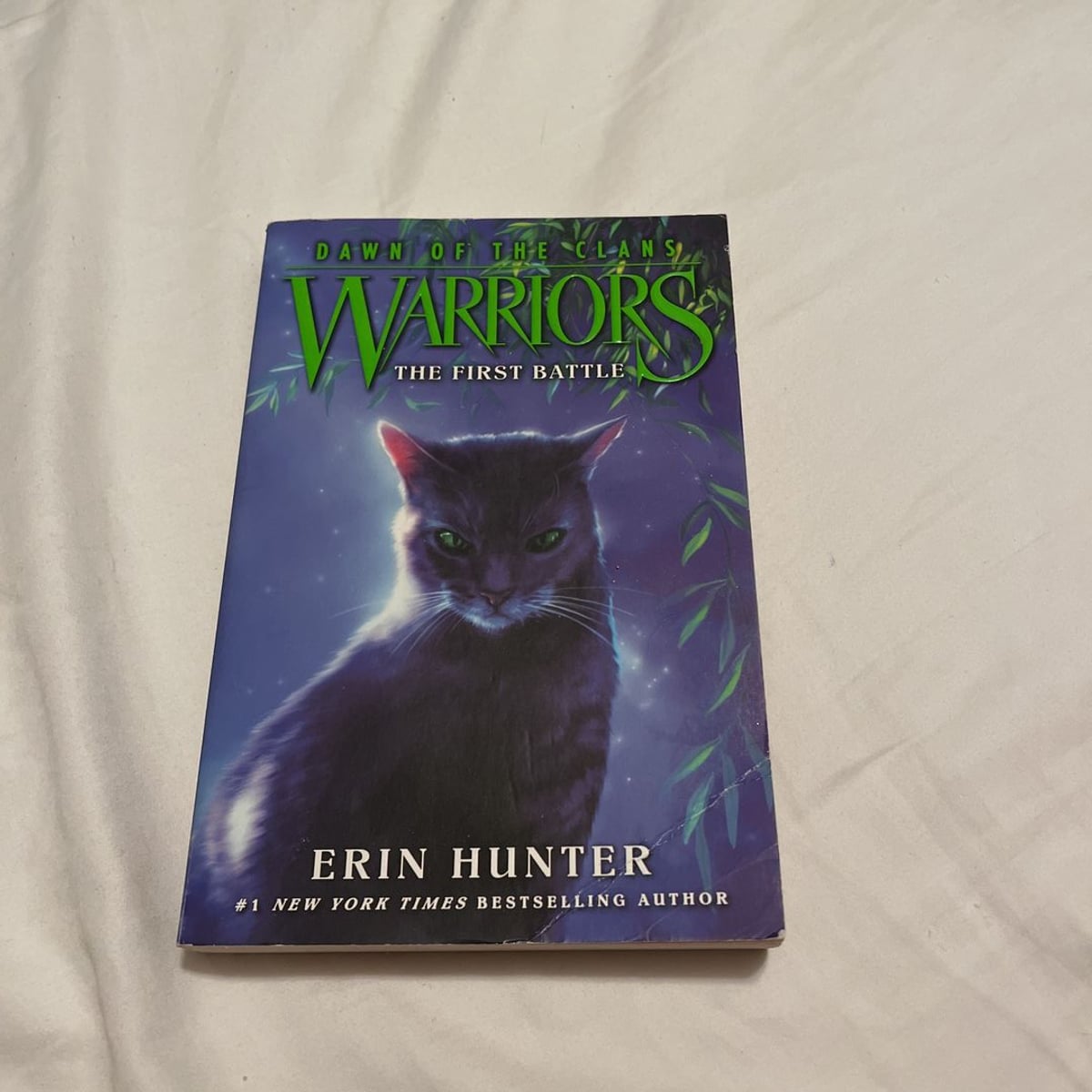 warriors-dawn-of-the-clans-3-the-first-battle-by-erin-hunter