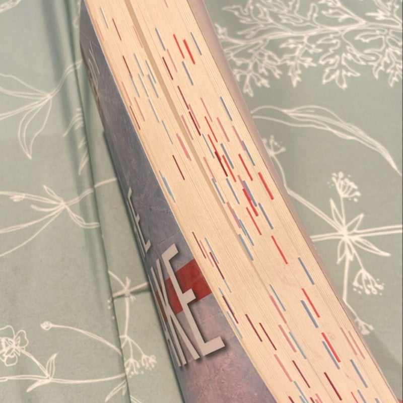 The Mistake | Annotated Copy