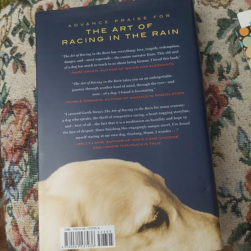 The Art of Racing in the Rain