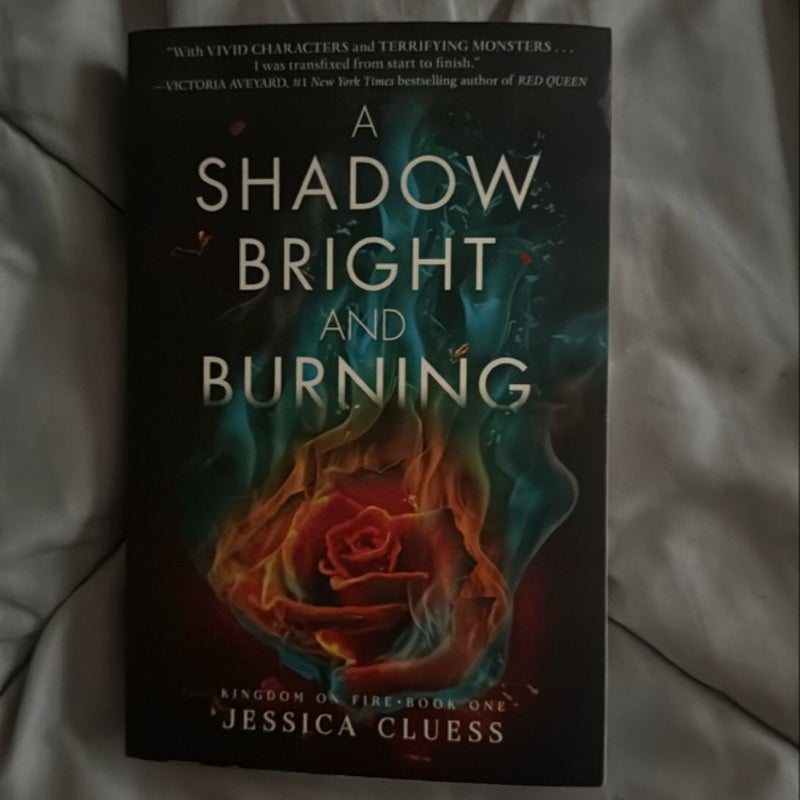 A Shadow Bright and Burning (Kingdom on Fire, Book One)