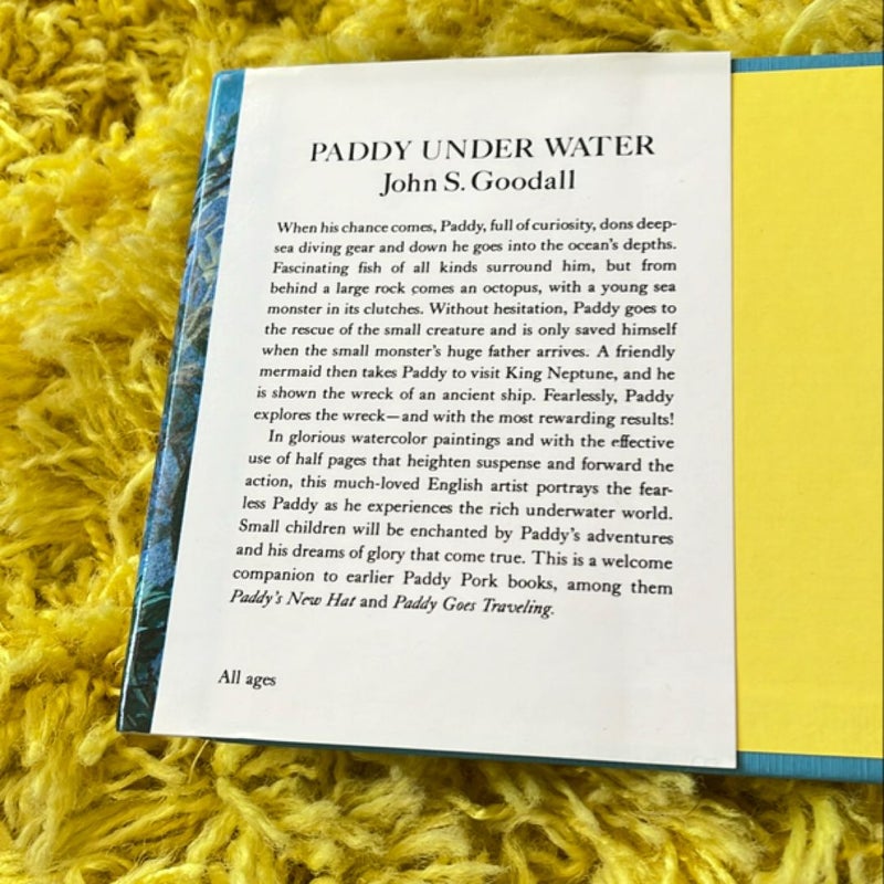 Out of Print - Paddy under Water