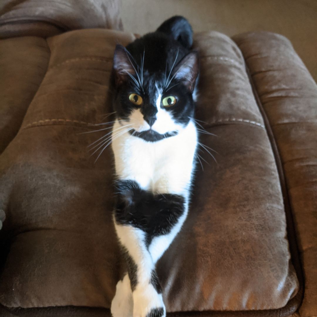 Kirstin's Personal Library