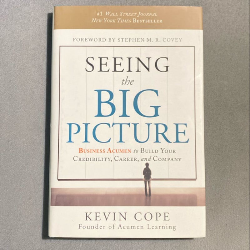 Seeing the Big Picture