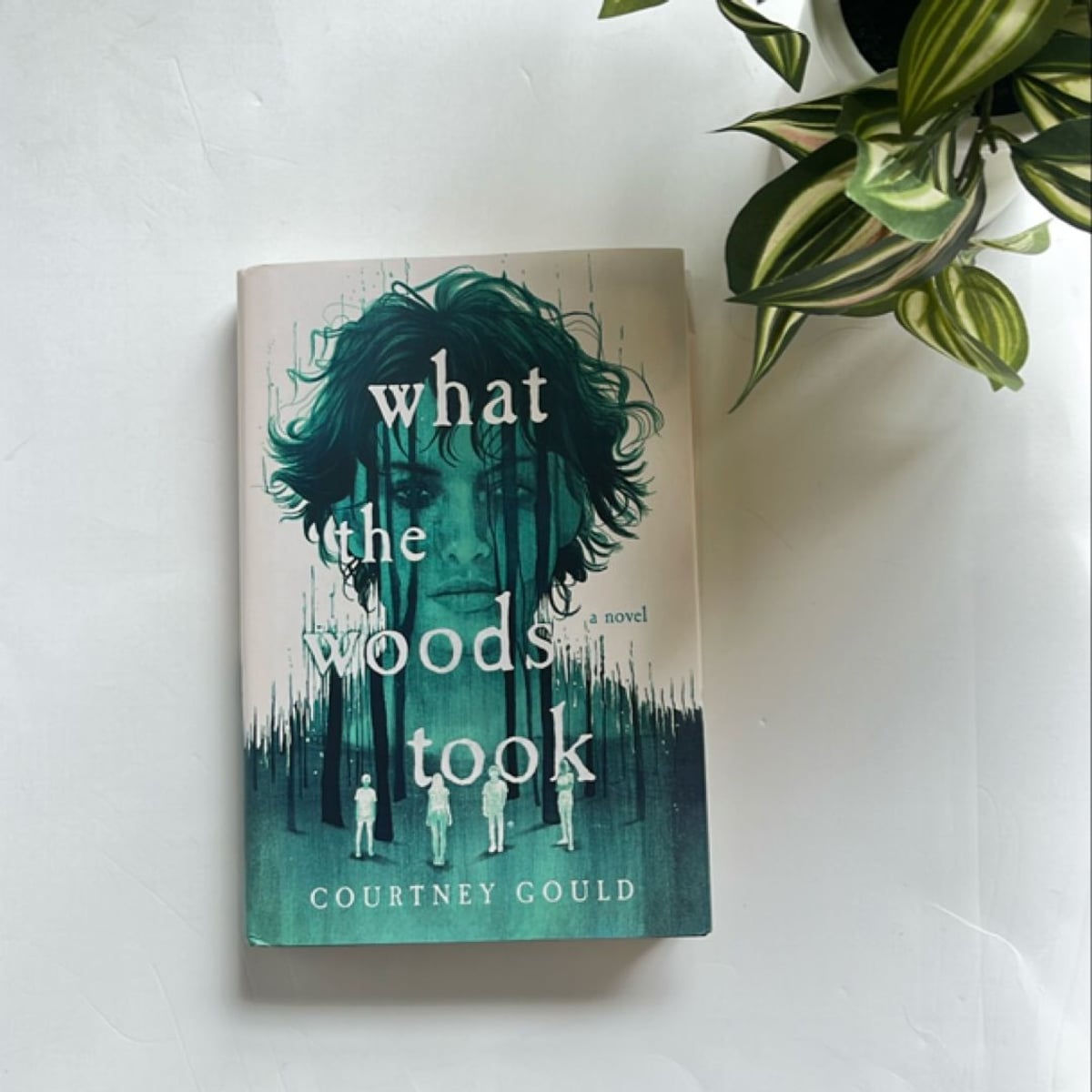 What the Woods Took by Courtney Gould